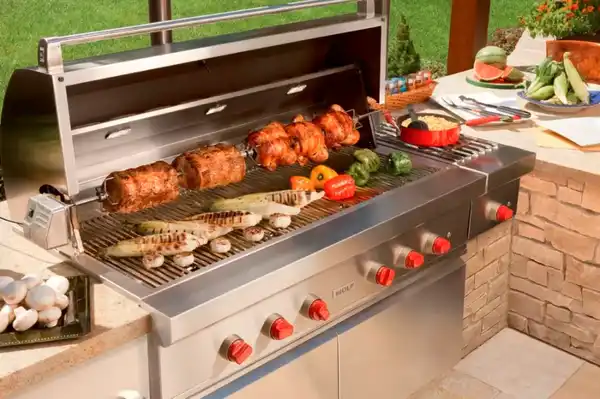 Wolf OG54-LP 6-burner grill vignette Wolf OG54-LP 6-burner grill vignette